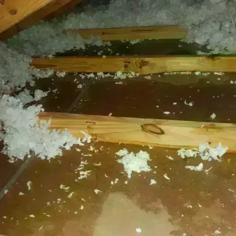 Attic Water Damage in Campbell County, VA